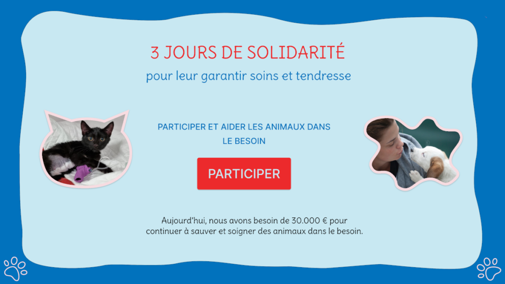 3 jours de solidarité pour aider les animaux dans le besoin